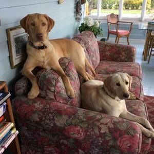 Meet your Posher, Karen